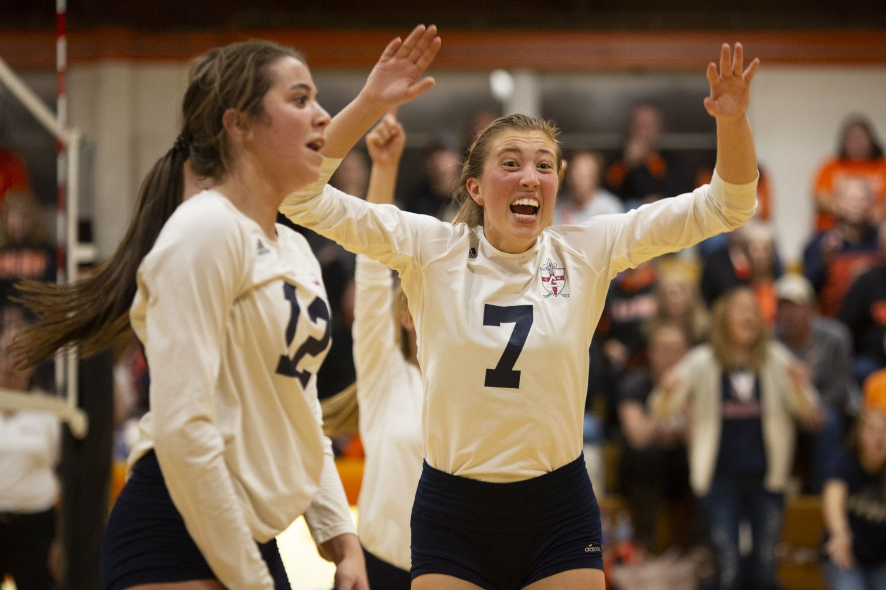 Class 1A Raymond Lincolnwood Sectional semifinal